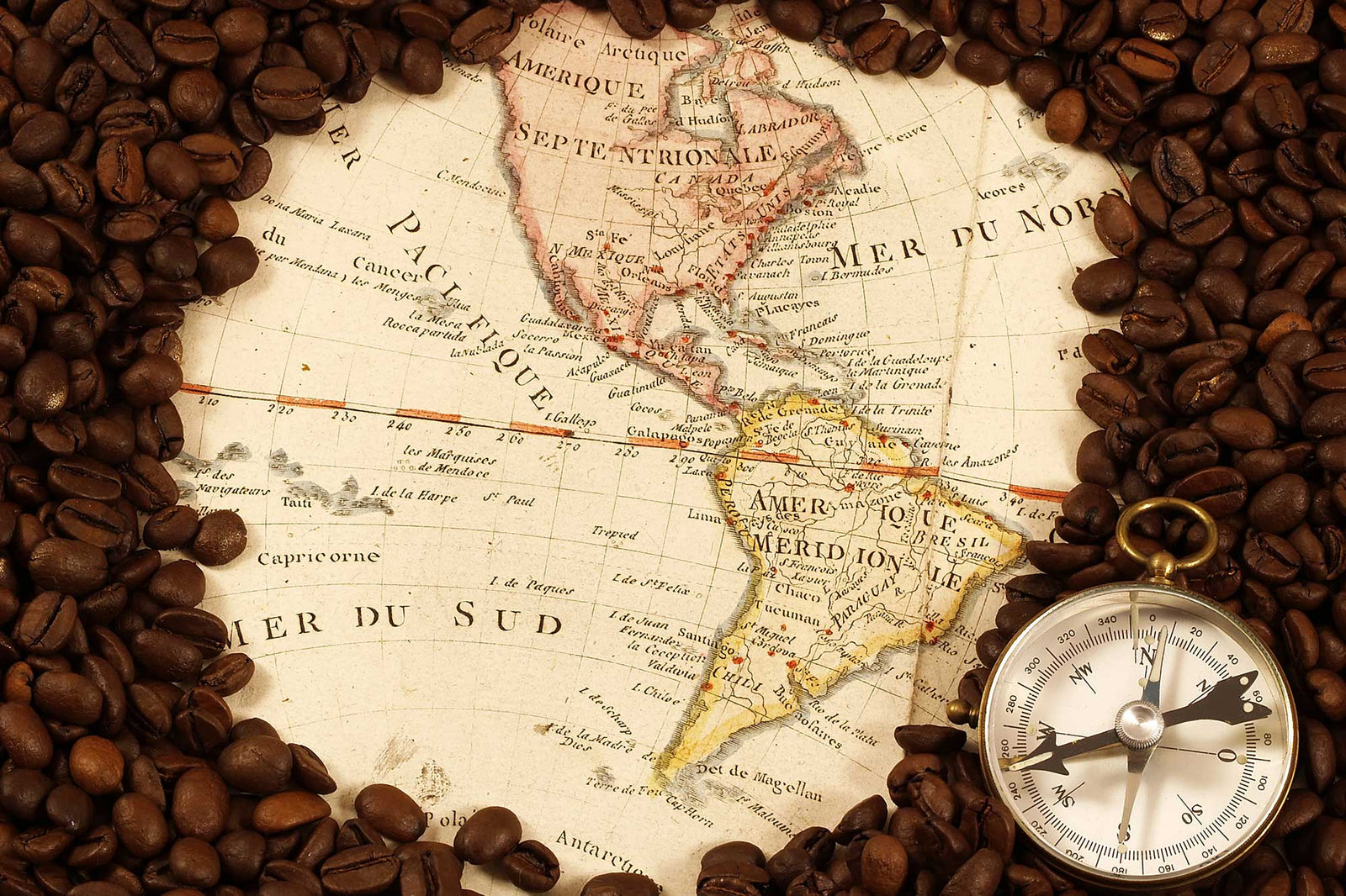 Whole coffee beans surrounding a old-world style global map