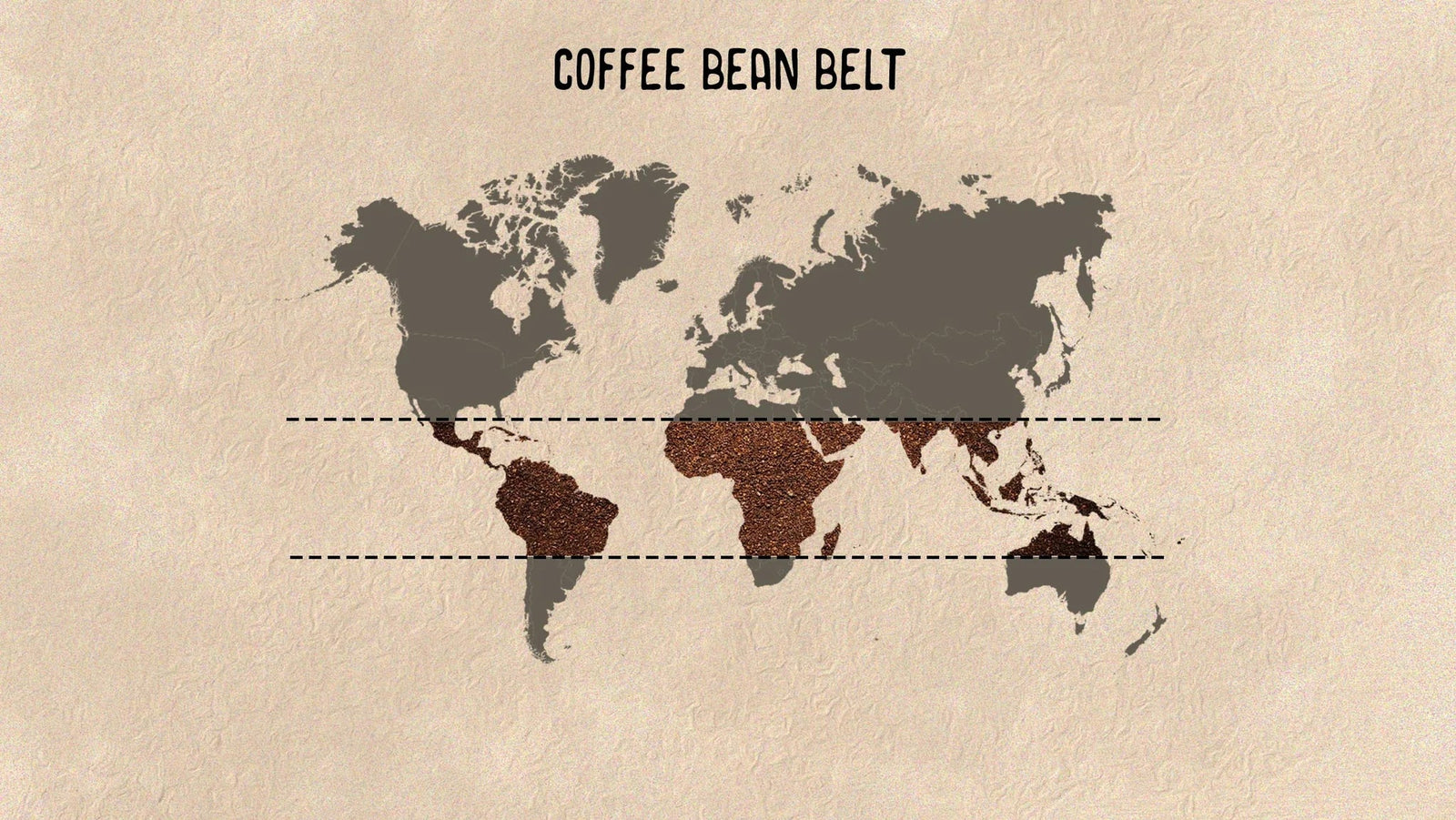 What is the Coffee Bean Belt?