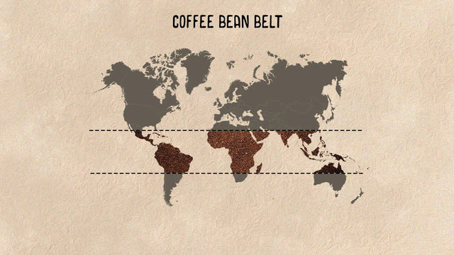 What is the Coffee Bean Belt?