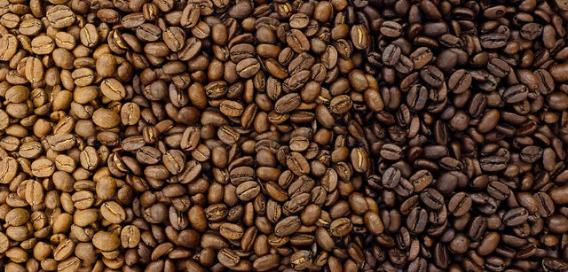 Light, medium, and dark roasted coffee beans – showcasing variety in roast levels and flavor