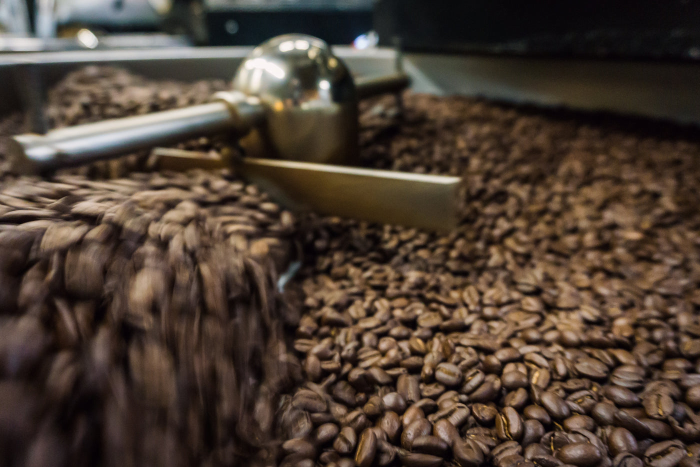 Fresh Sumato Coffee beans moving through the roasting process