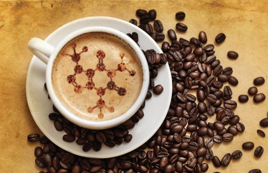 4 Science based reasons to enjoy Your Morning Cup of Coffee