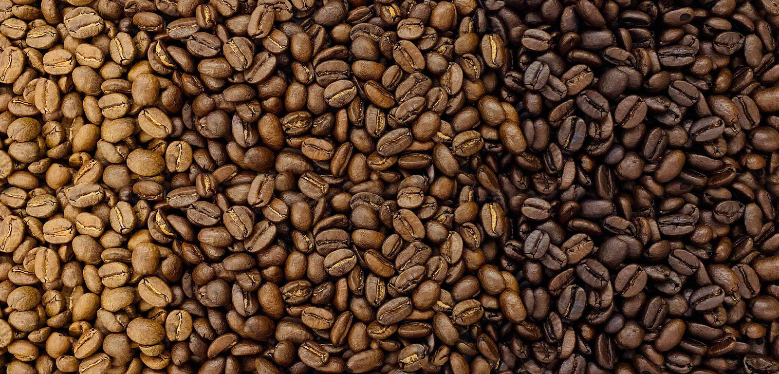 Light, medium, and dark roasted coffee beans – showcasing variety in roast levels and flavor