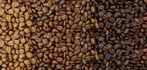 Light, medium, and dark roasted coffee beans – showcasing variety in roast levels and flavor