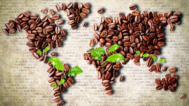 One Week of Coffee Around the World