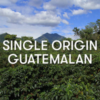 Single Origin Guatemalan